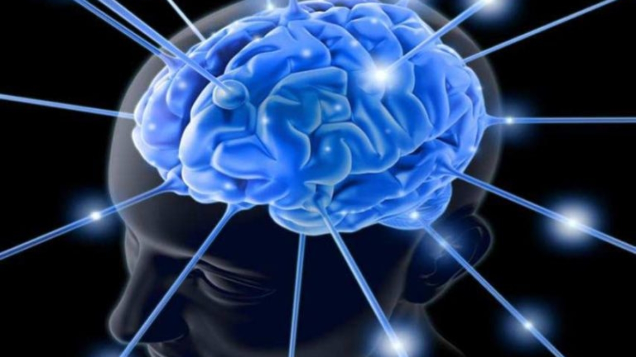 WhatsApp Image 2025-09-24 at 11.20.11